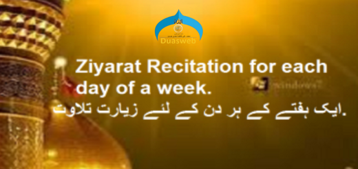 EveryDayZiyarat