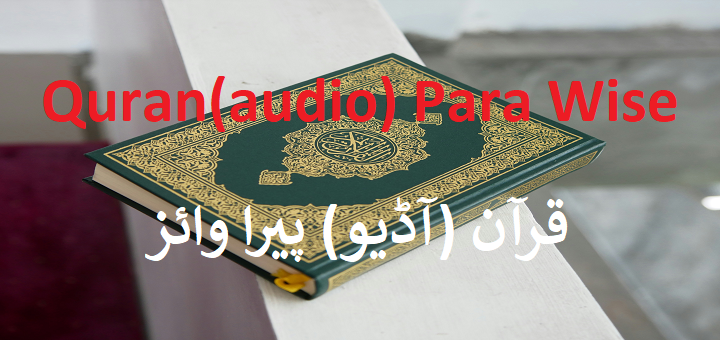 Quran(audio) Para Wise