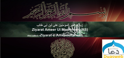 Ziyarat Hazrat Ali(as)